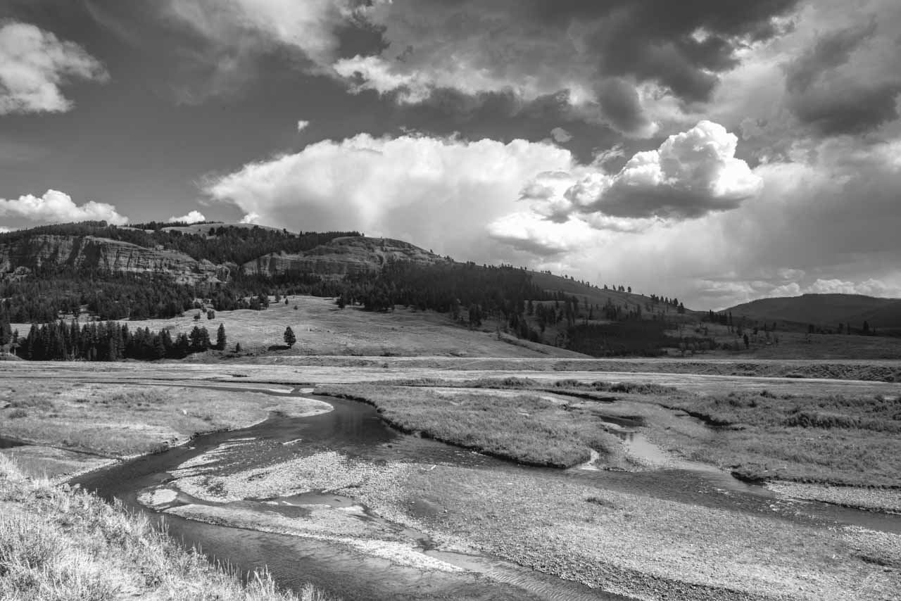 Lamar Valley et sa rivière dans le parc du Yellowstone.