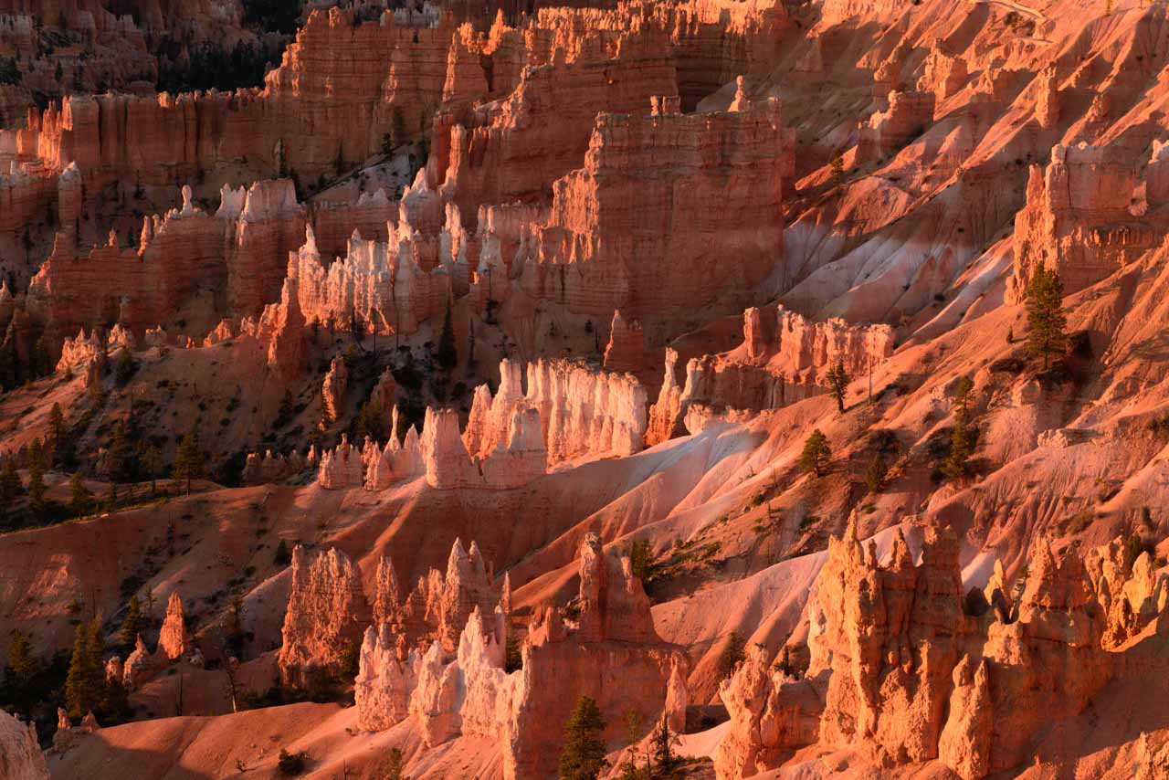 Hoodoos dans Bryce Canyon au lever de soleil.