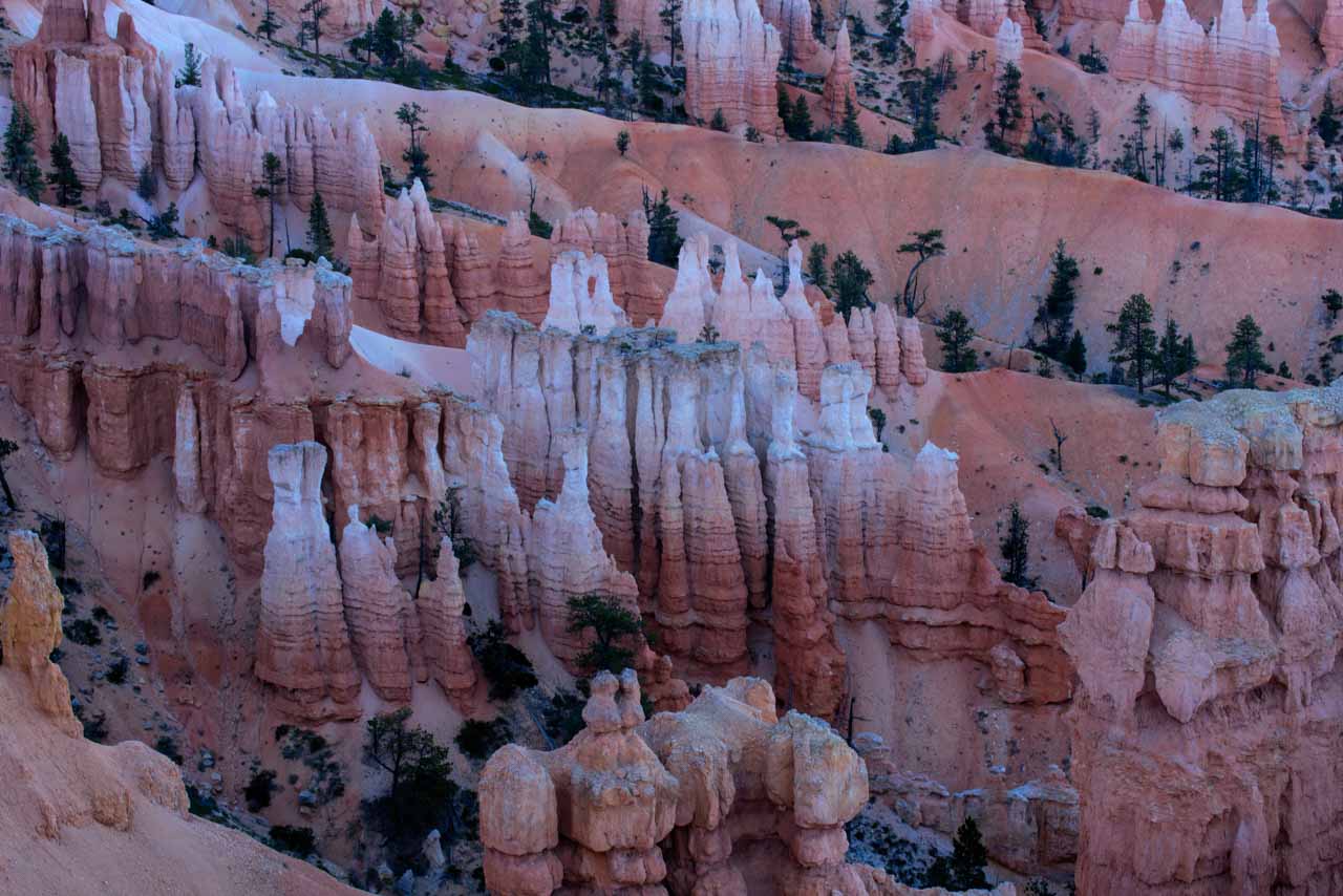 Hoodoos dans Bryce Canyon au lever de soleil.