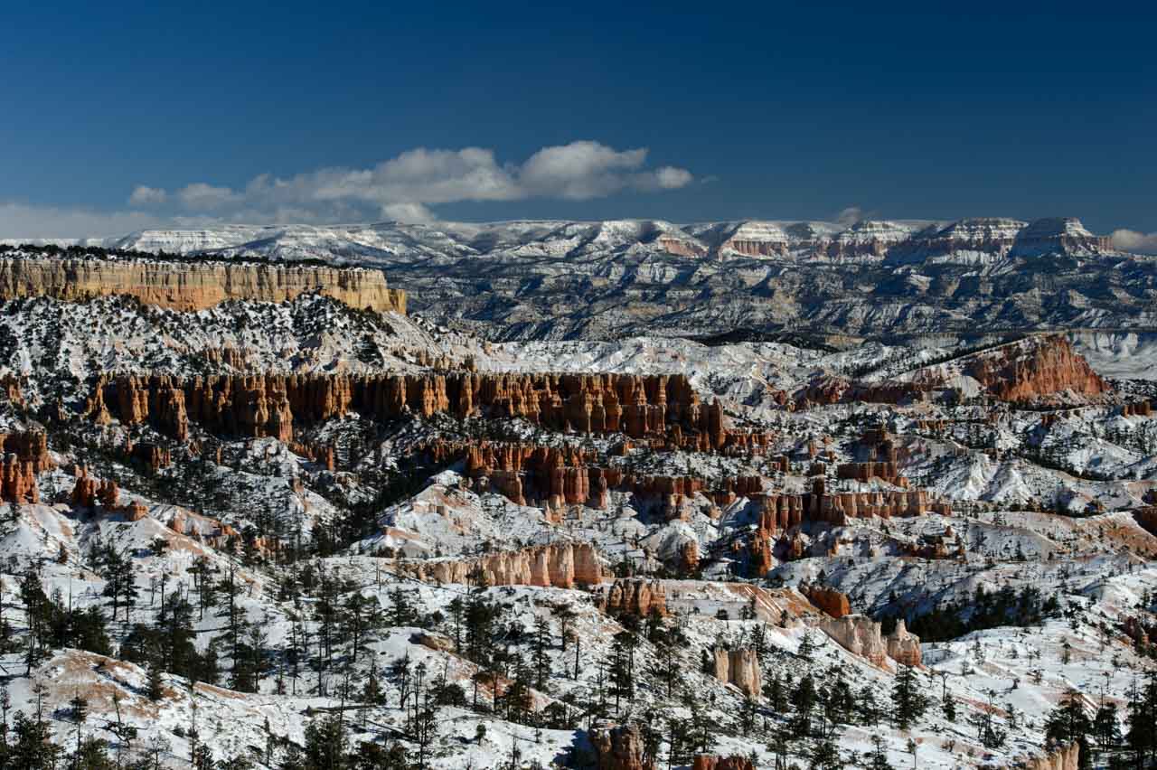 Hoodoos dans Bryce Canyon sous la neige.
