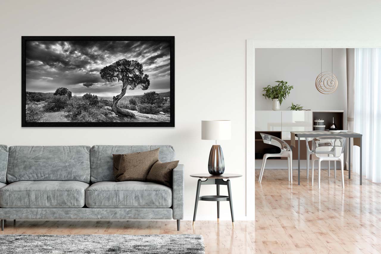 Une photo d'art en noir et blanc accrochée du dessus d'un divan dans un salon.