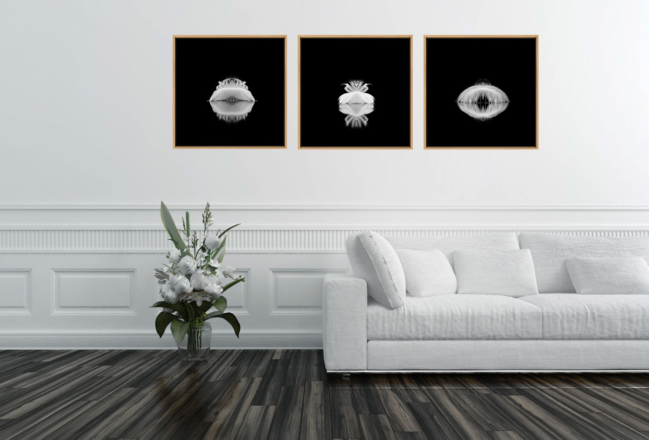 3 photos d'art en noir et blanc de plumes accrochées dans une salle d'attente du cabinet d'un pyschiatre. Elles sont une invitation à la relaxation.