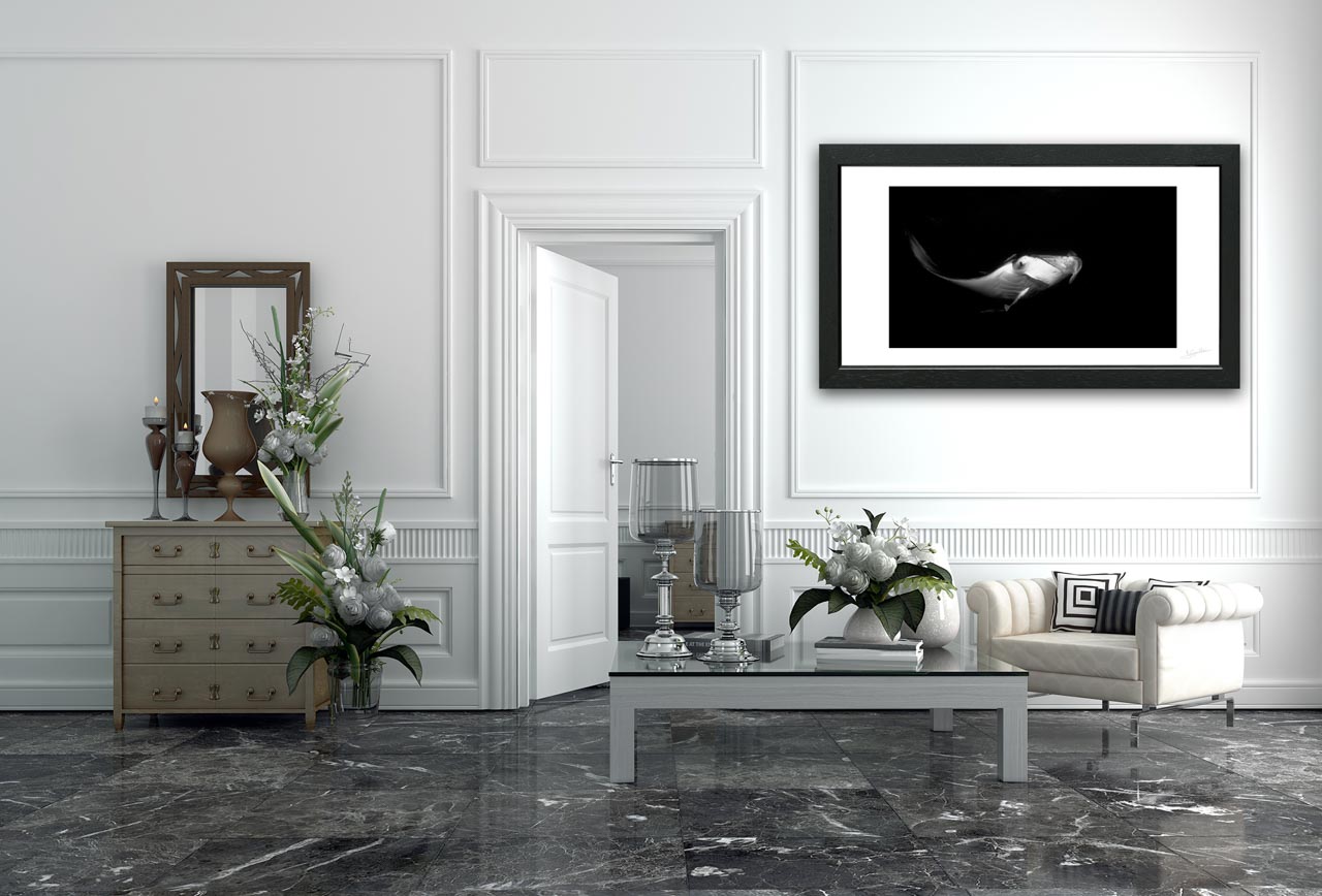 An underwater fine art print displayed in a waiting room.