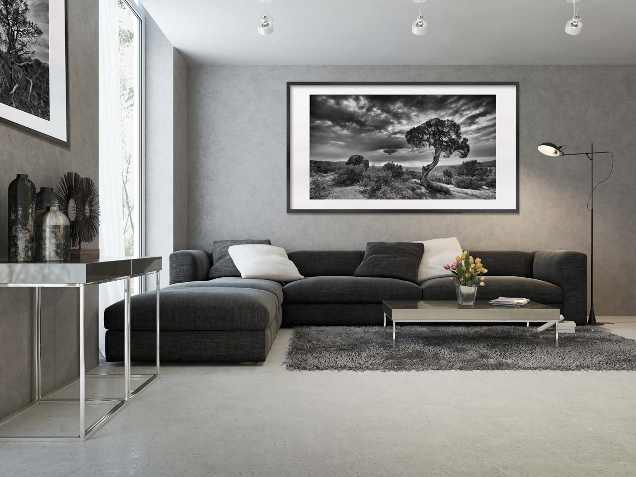 Deux photos en noir et blanc de paysages exposées dans un salon dans un appartement parisien.