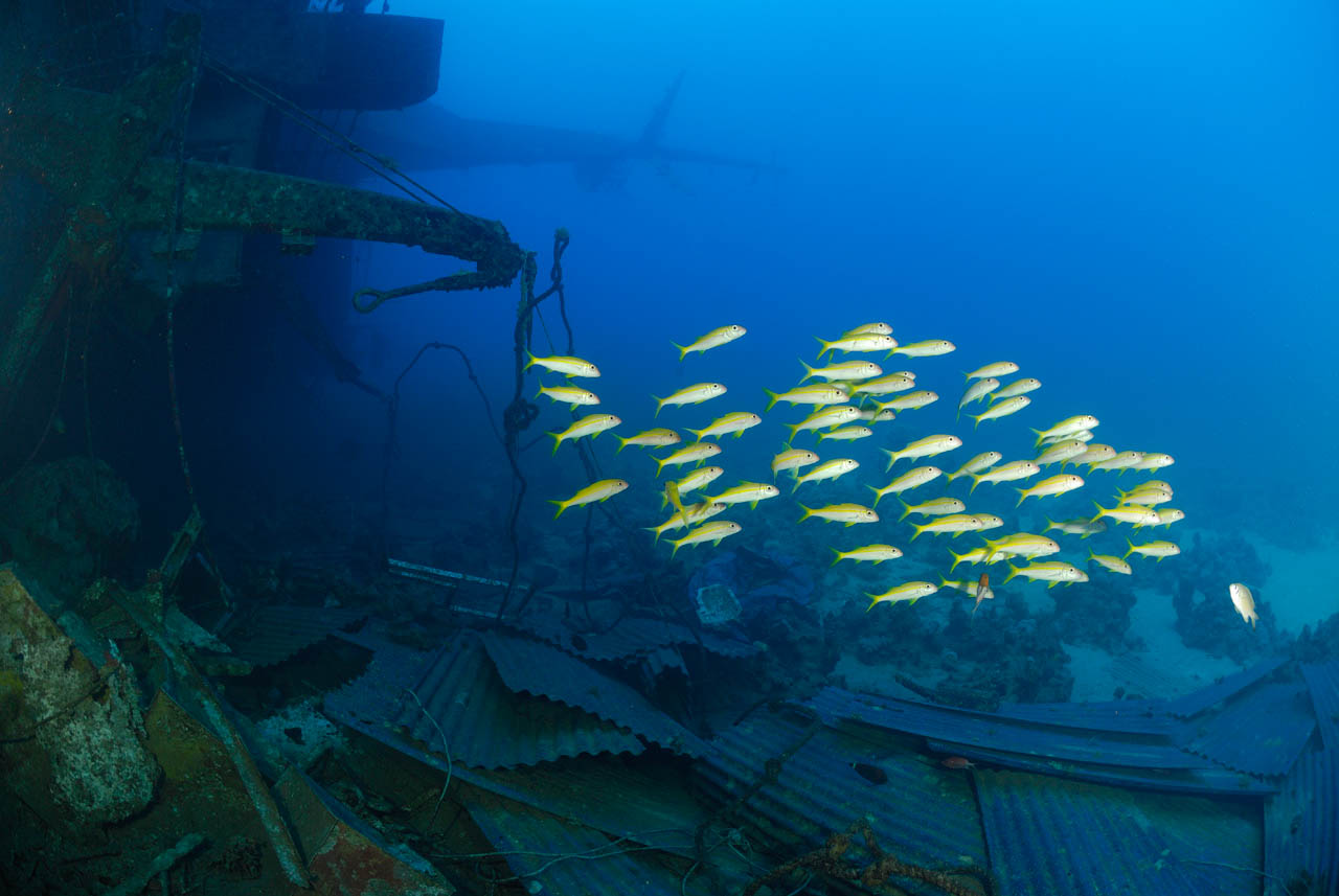 The wreck of Salem Express off Safaga in the Red Sea, Egypt.
