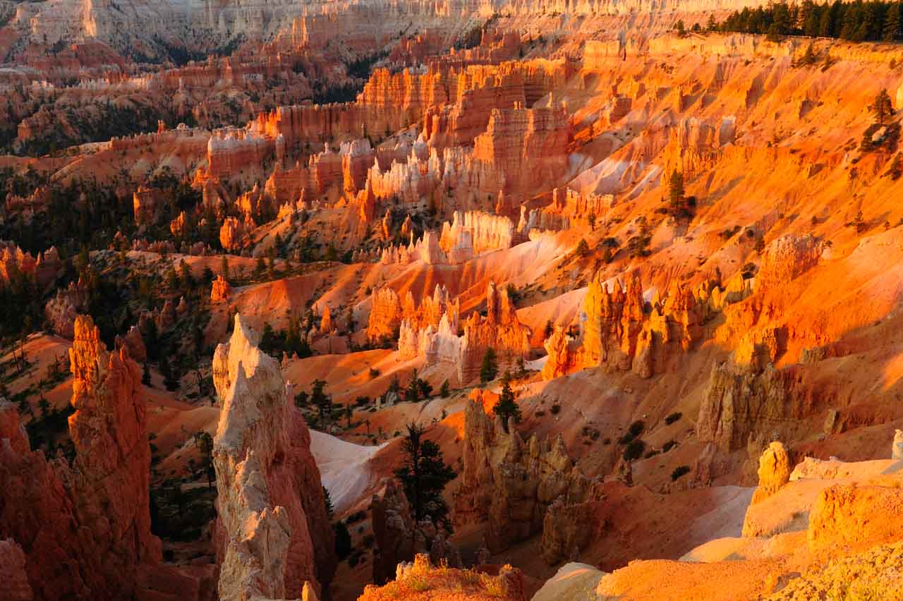 L'amphitéâtre de Bryce Canyon et ses hoodoos.