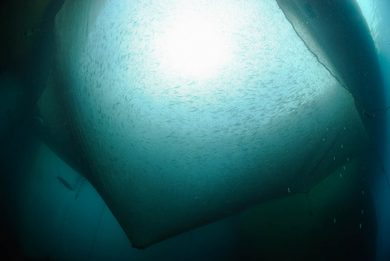 La ferme aquacole de Cannes en France. Mer Méditerranée.