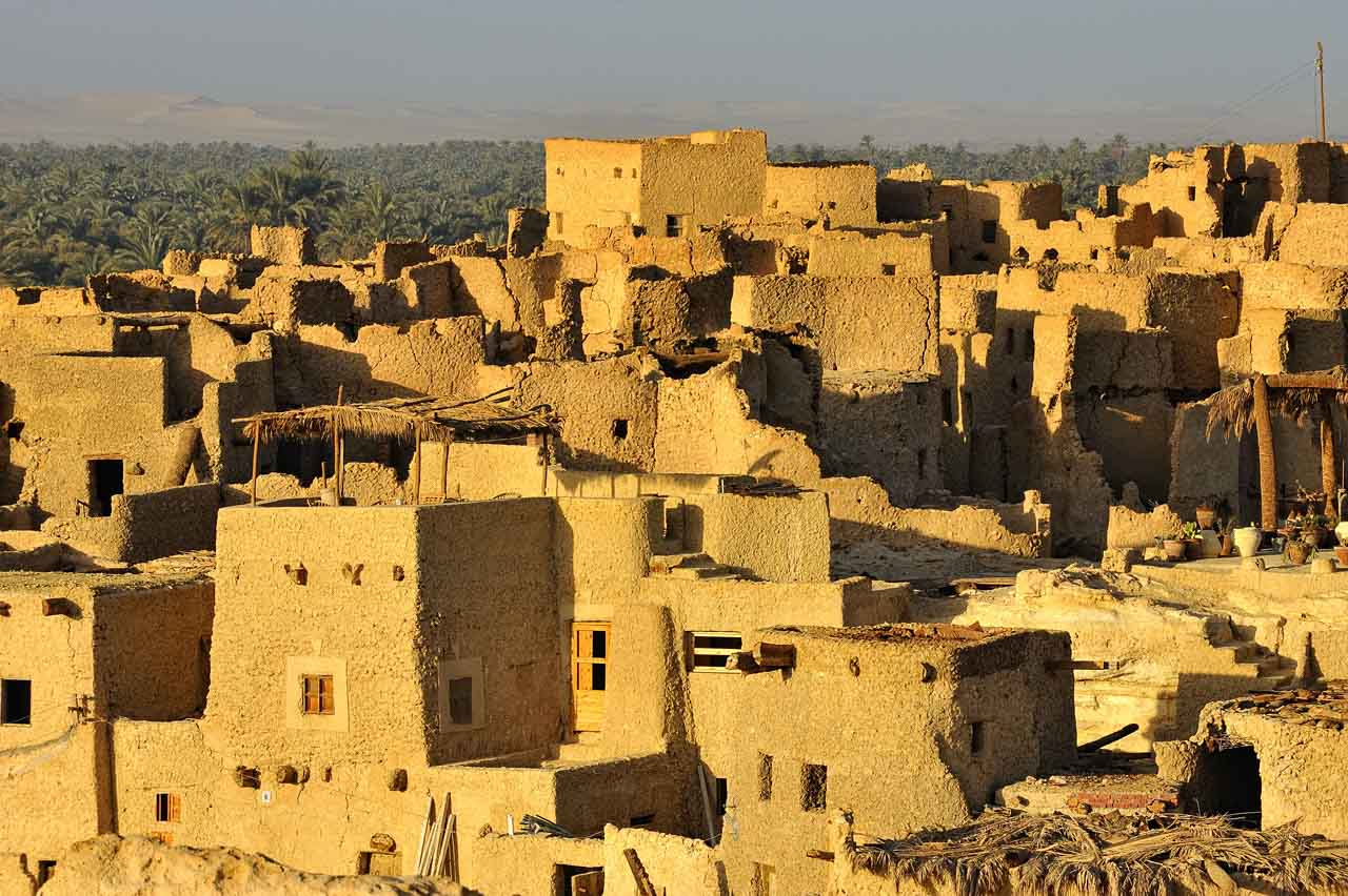 L'oasis de Siwa en Egypte.