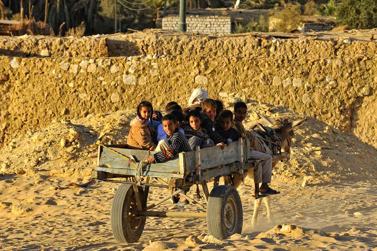 L'oasis de Siwa en Egypte.