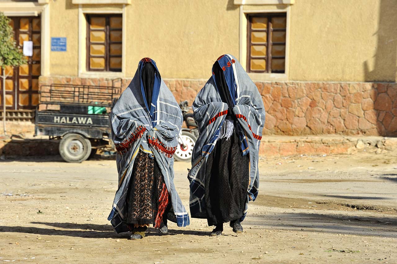 L'oasis de Siwa en Egypte.
