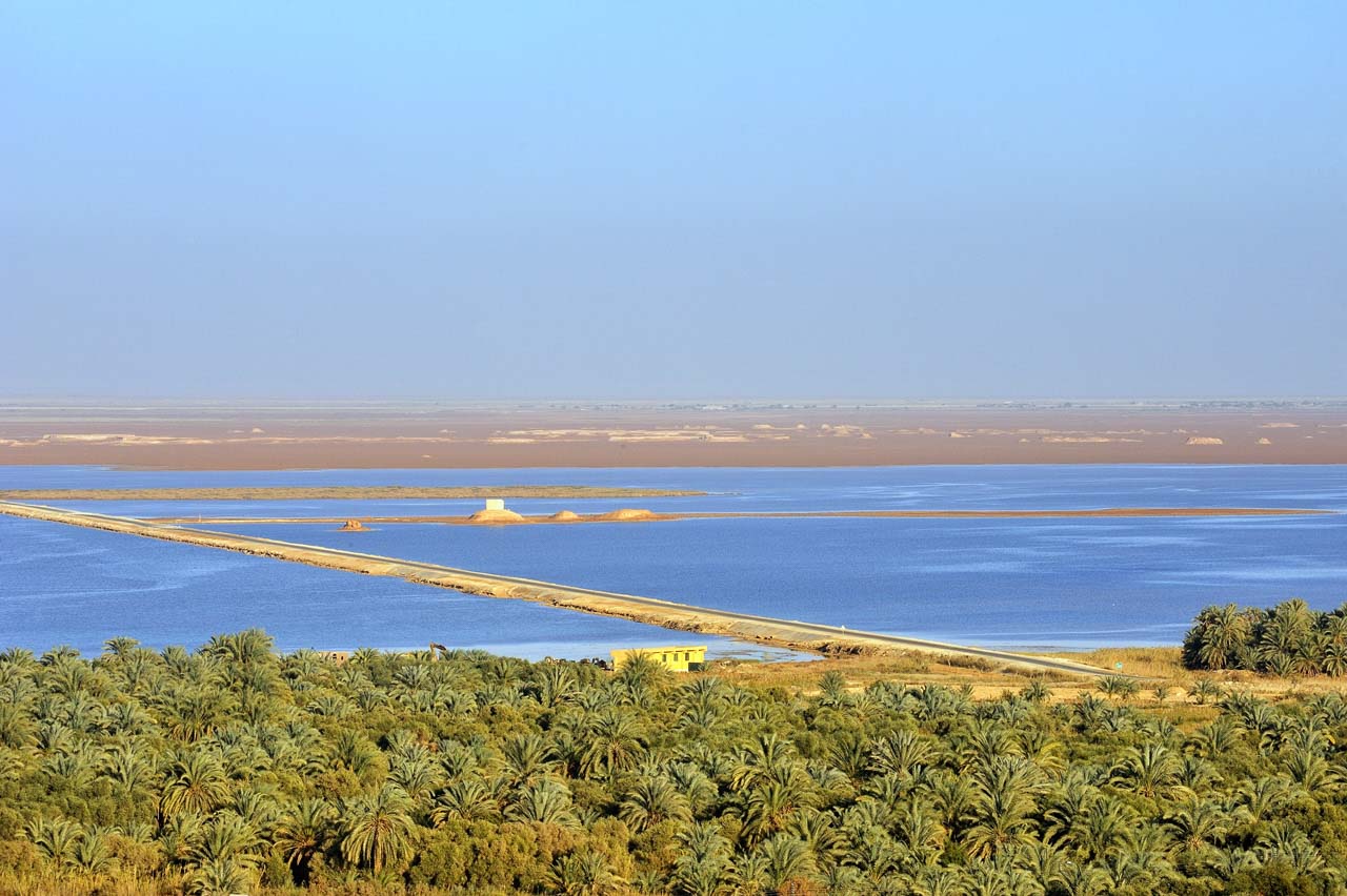 Balade dans l'oasis de Siwa.
