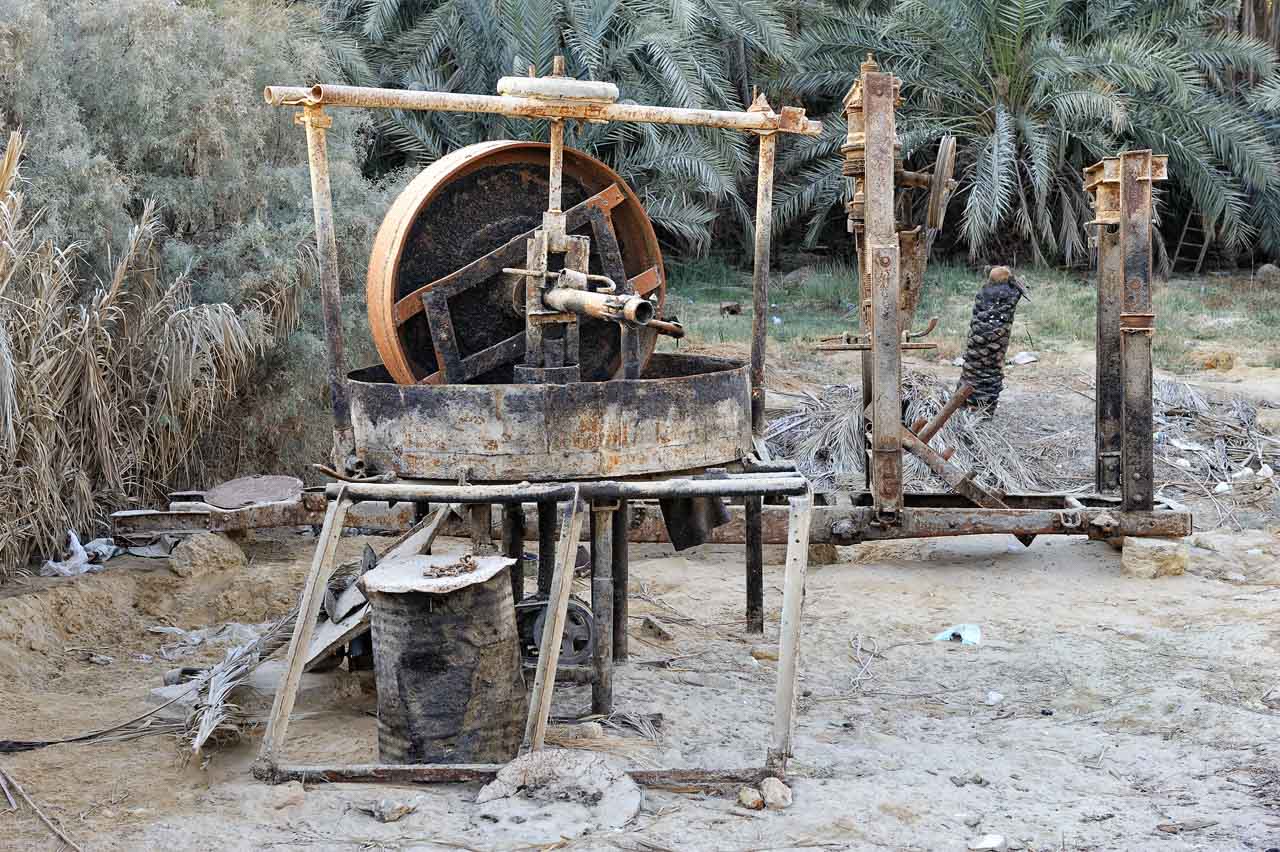 Balade dans l'oasis de Siwa.