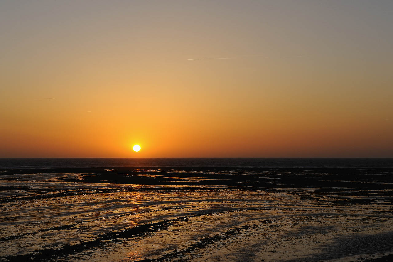 PLandscapes of the coast of Charente-Maritime, France.