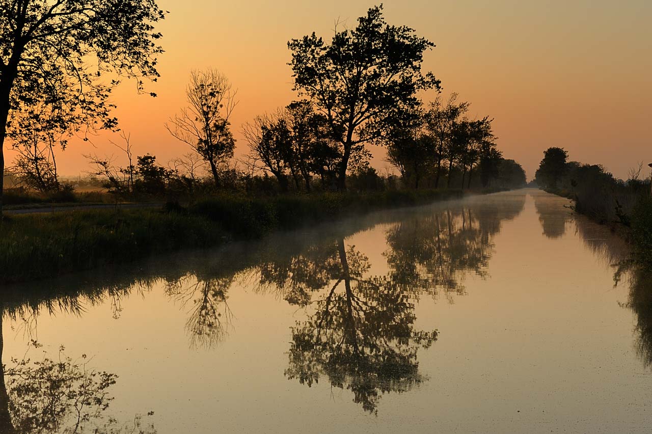Une photo des marais de Beaugeay en Charente-Maritime pour l'exposition.