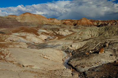 Paysages de la forêt pétrifiée dans l'état de l'Arizona. Photographies par Amar Guillen.