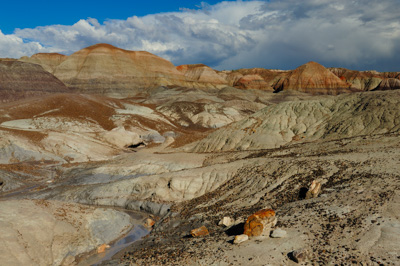 Paysages de la forêt pétrifiée dans l'état de l'Arizona. Photographies par Amar Guillen.
