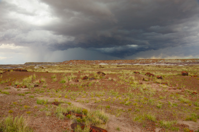 Landscapes of Petrified Forest. Photographs by Amar Guillen.