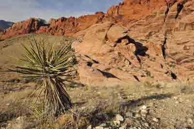 Red Rock Canyon dans l'état du Nevada aux Etats-Unis. Photographies par Amar Guillen.