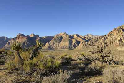 Red Rock Canyon dans l'état du Nevada aux Etats-Unis. Photographies par Amar Guillen.