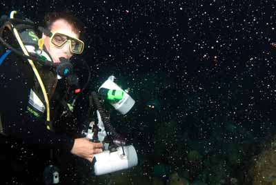 The coral spawning in the Gulf of Mexico in United States. Photographs by Amar Guillen.