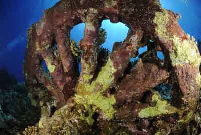 Brother Islands in the Red Sea off the coast of Egypt. Photographs by Amar Guillen.