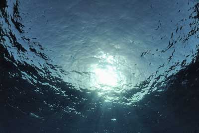 Brother Islands in the Red Sea off the coast of Egypt. Photographs by Amar Guillen.