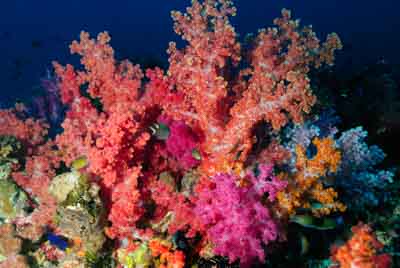 Seven Brothers islands in the gulf of Aden off the coast of Djibouti. Photographs by Amar Guillen.