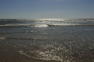 Landscapes of Medoc, Gironde. Photographs by Amar Guillen.