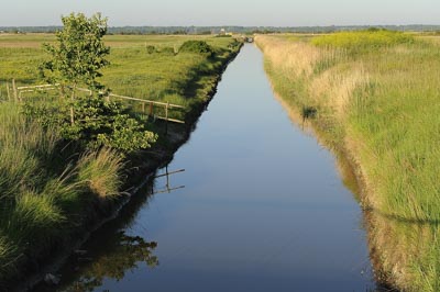 Landscapes of Medoc, Gironde. Photographs by Amar Guillen.