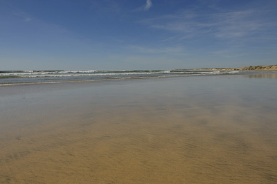 Paysages du Médoc en Gironde. Photographies par Amar Guillen.