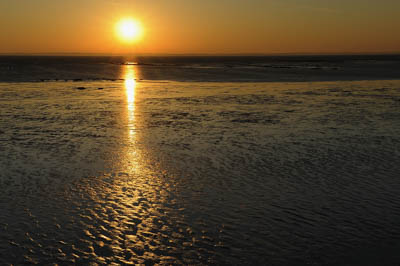 Paysages du Médoc en Gironde. Photographies par Amar Guillen.