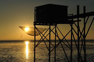 Paysages du Médoc en Gironde. Photographies par Amar Guillen.