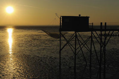 Paysages du Médoc en Gironde. Photographies par Amar Guillen.