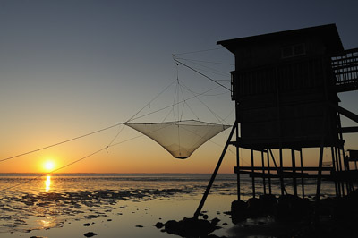 Paysages du Médoc en Gironde. Photographies par Amar Guillen.
