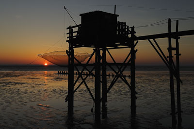 Paysages du Médoc en Gironde. Photographies par Amar Guillen.