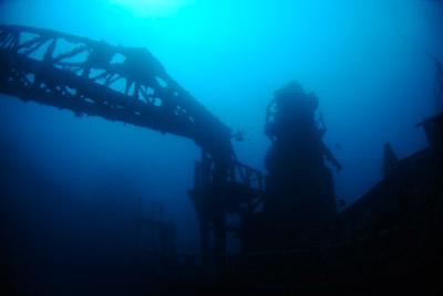 Fonds marins de Key Largo en Floride, Etats-Unis. Photographies par Amar Guillen.