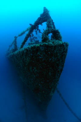 Fonds marins de Key Largo en Floride, Etats-Unis. Photographies par Amar Guillen.