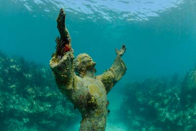 Fonds marins de Key Largo en Floride, Etats-Unis. Photographies par Amar Guillen.