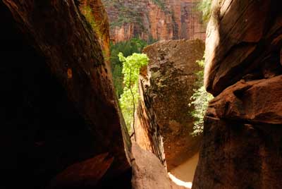 Paysages du Canyon de Zion dans l'Utah aux Etats-Unis. Photographies par Amar Guillen.