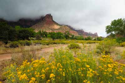 Landscapes of Zion in the state of Utah, United States. Photographs by Amar Guillen.