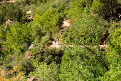 Landscapes of Zion in the state of Utah, United States. Photographs by Amar Guillen.