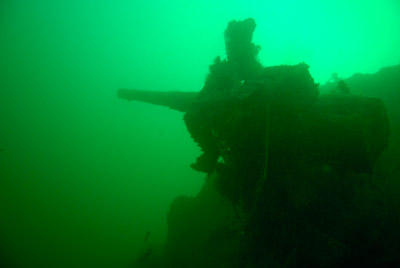 Les fonds marins d'Asnelles en Normandie en France. Photographies par Amar Guillen.
