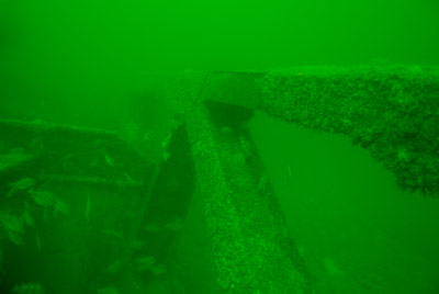 Les fonds marins d'Asnelles en Normandie en France. Photographies par Amar Guillen.