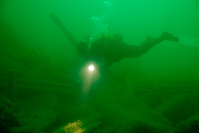 Les fonds marins d'Asnelles en Normandie en France. Photographies par Amar Guillen.