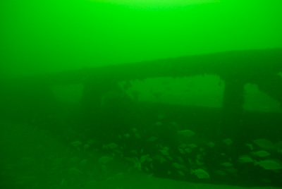 Underwater sceneries of Arromanches in Normandy, France. Photographs by Amar Guillen.