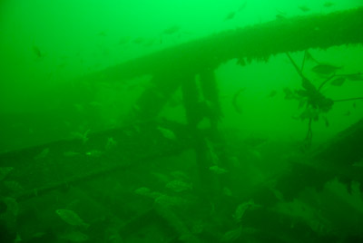 Underwater sceneries of Arromanches in Normandy, France. Photographs by Amar Guillen.