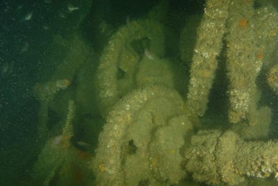 Underwater sceneries of Arromanches in Normandy, France. Photographs by Amar Guillen.