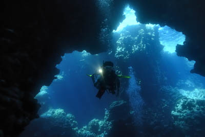 Les fonds marins de Saint John en Mer Rouge. Photographies par Amar Guillen.