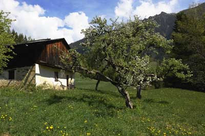 Landscapes and wildlife of Hauteluce in French Alpes. Photographs by Amar Guillen.