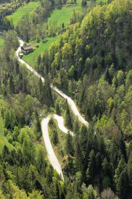 Landscapes and wildlife of Hauteluce in French Alpes. Photographs by Amar Guillen.